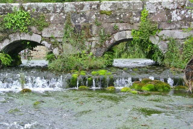 Posada Rural La Flor Del Nogal Ruente Dış mekan fotoğraf